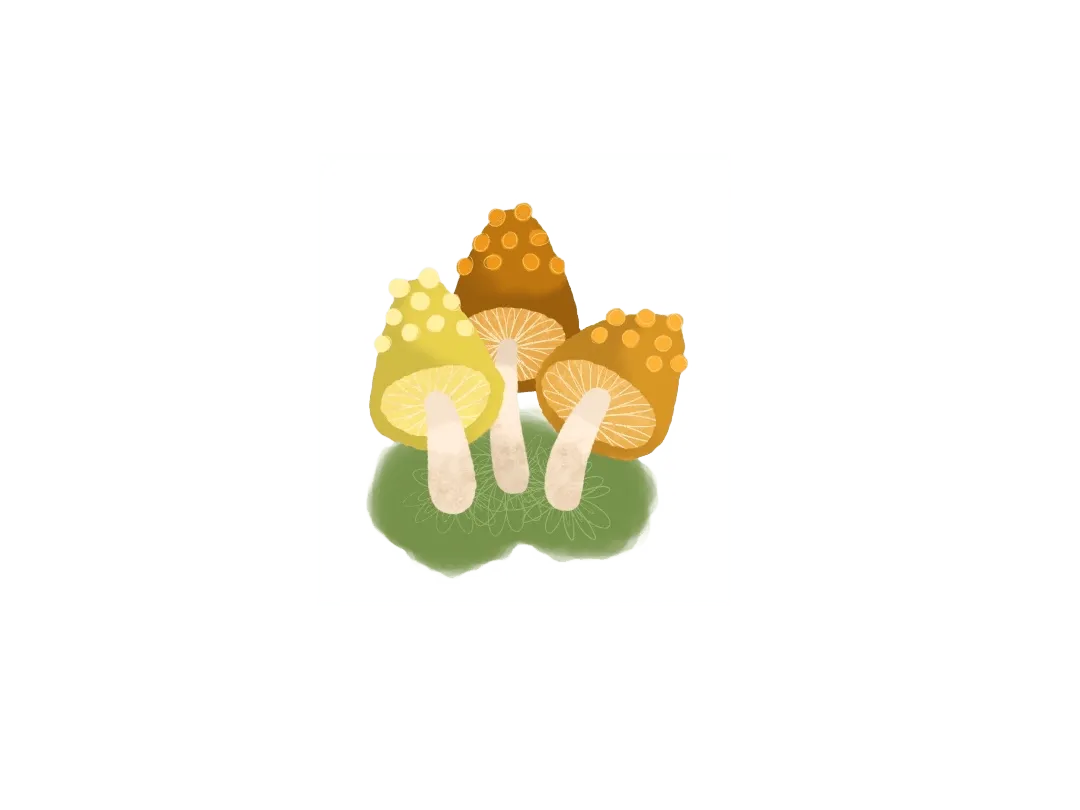 Mushroom Hero Image